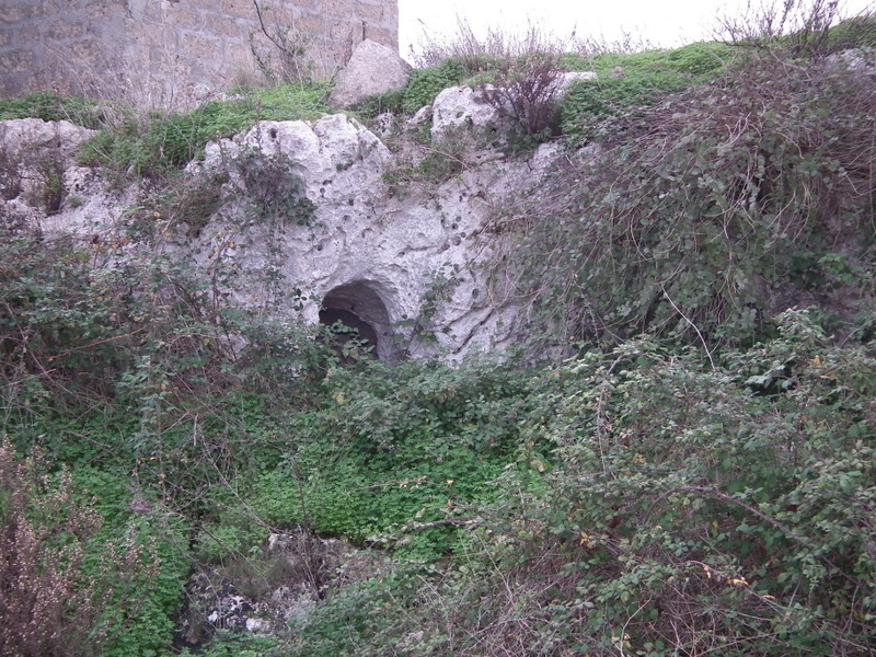 DSCF2341