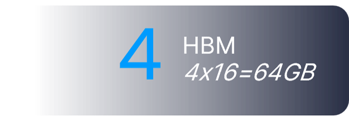 Rhea1 HBM memory