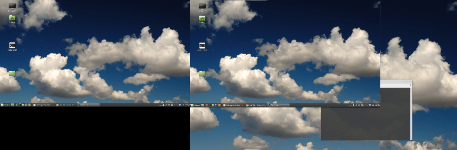 screenshot of the bug