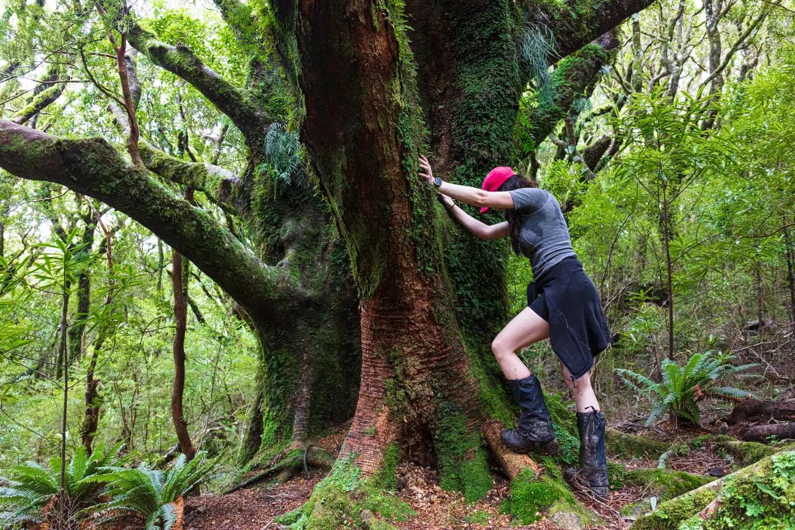 A woman wearing a red cap and hiking boots leans against a large moss-covered tree in a lush green forest. Her posture suggests a moment of reflection or deep connection with nature