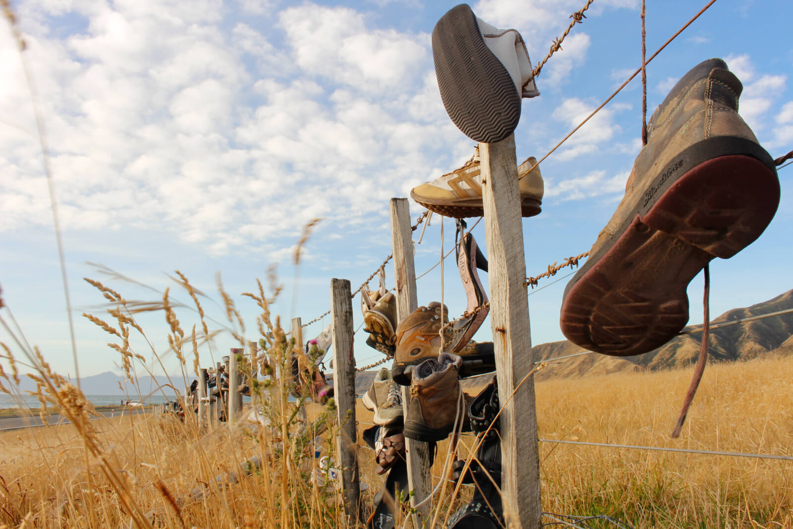 Row of old shoes hanging on a rural fence with barbed wire, set against golden grass and blue sky, symbolizing different life paths and stories.