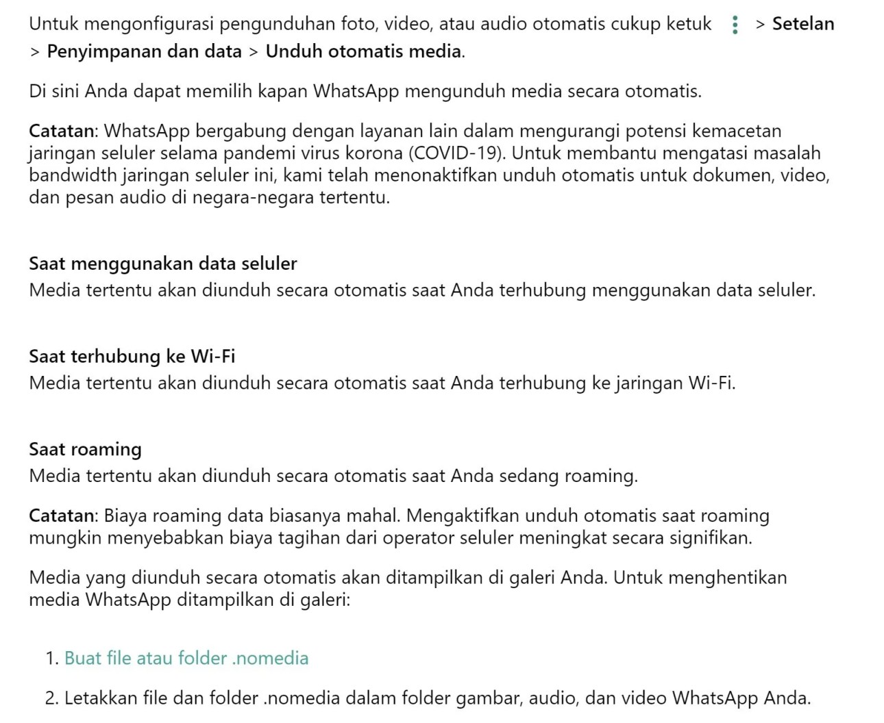 Auto Download Update