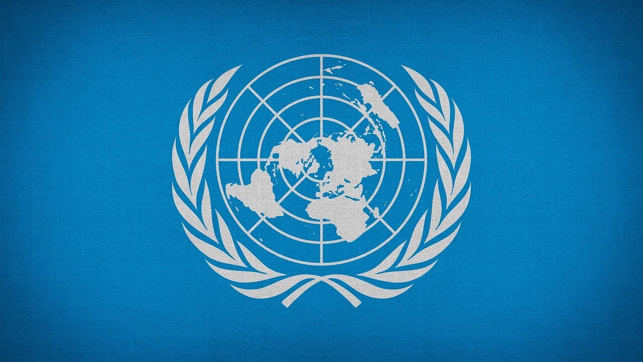 国連の旗