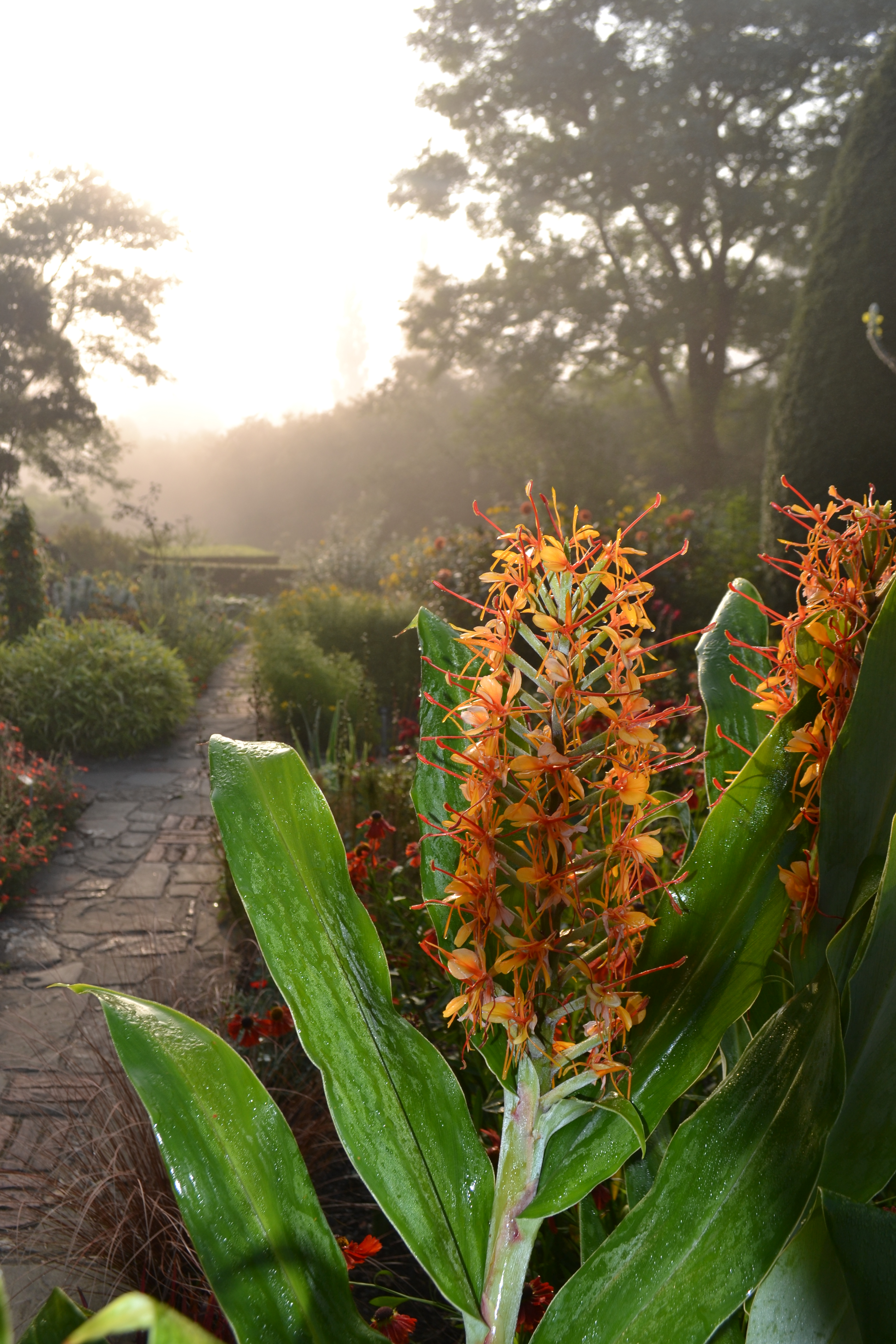 dsc_0221.jpg?ssl=1