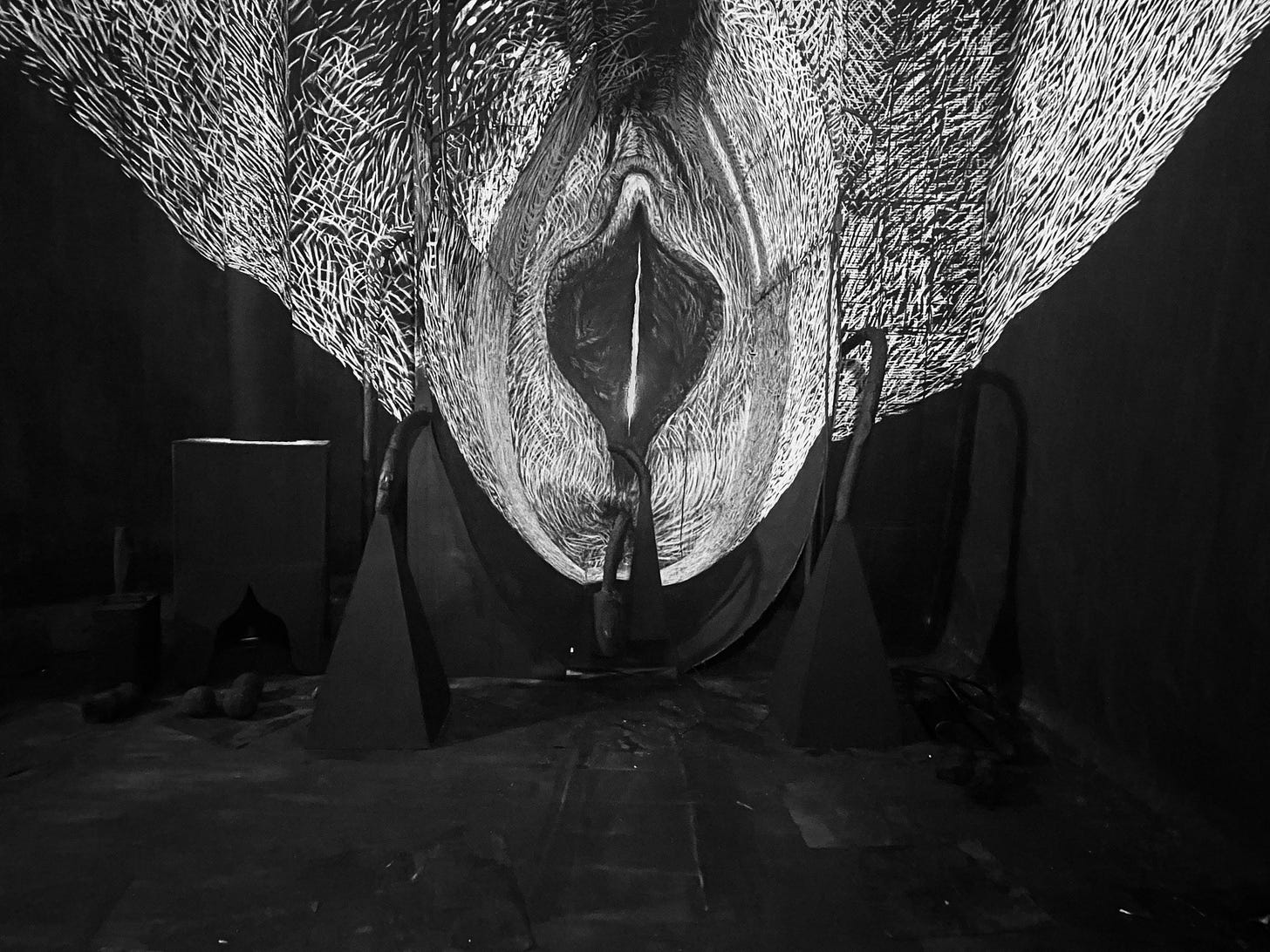 A Giant Vagina