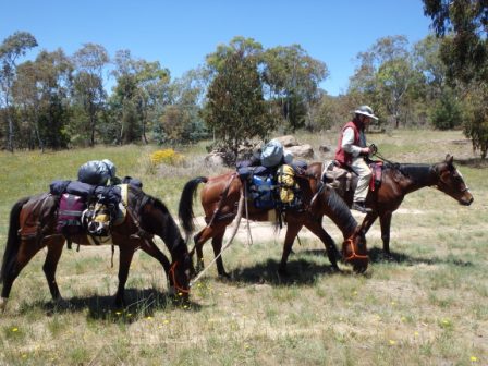 Noel and his string of 3: Spirit, Stevie, Dom - everything we owned on their back - challenging - no time for other thoughts!