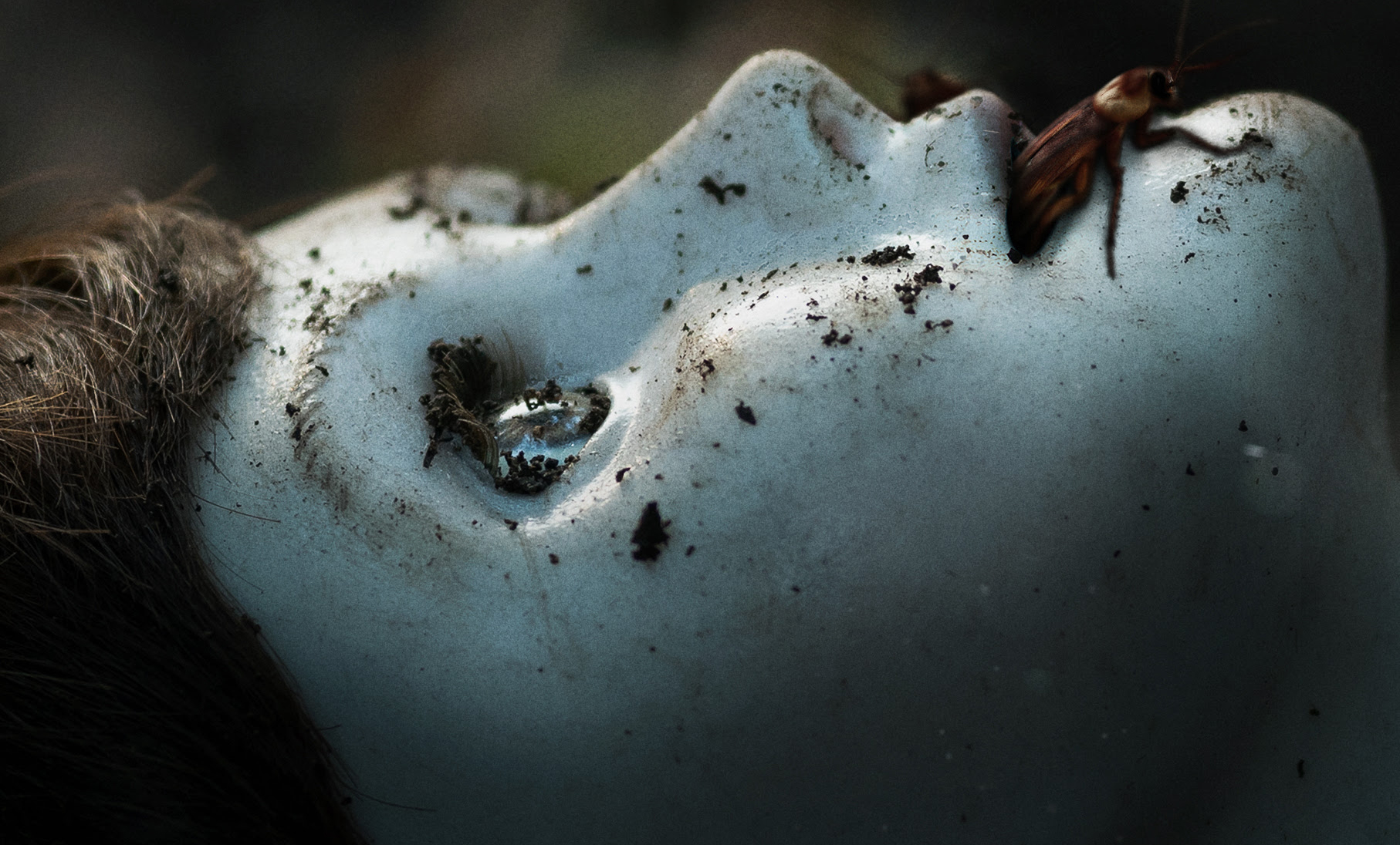 Boneco aterroriza mãe e filho em novo trailer de “Brahms: Boneco do Mal I”