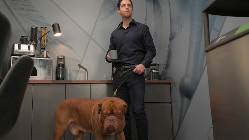 Turner e Hooch, nova série do Disney Plus ganha trailer