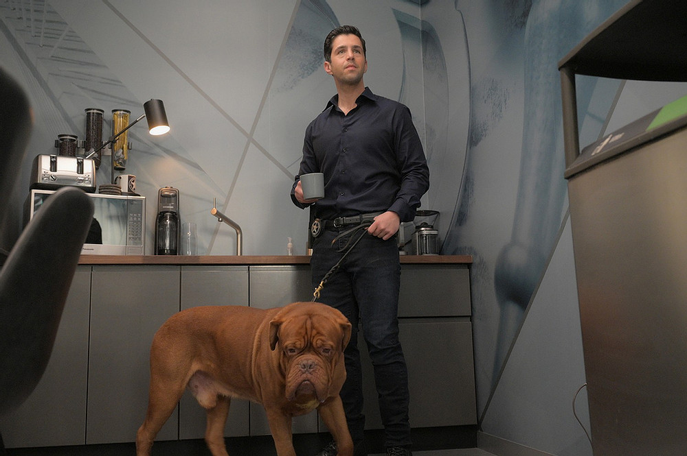 Turner e Hooch, nova série do Disney Plus ganha trailer