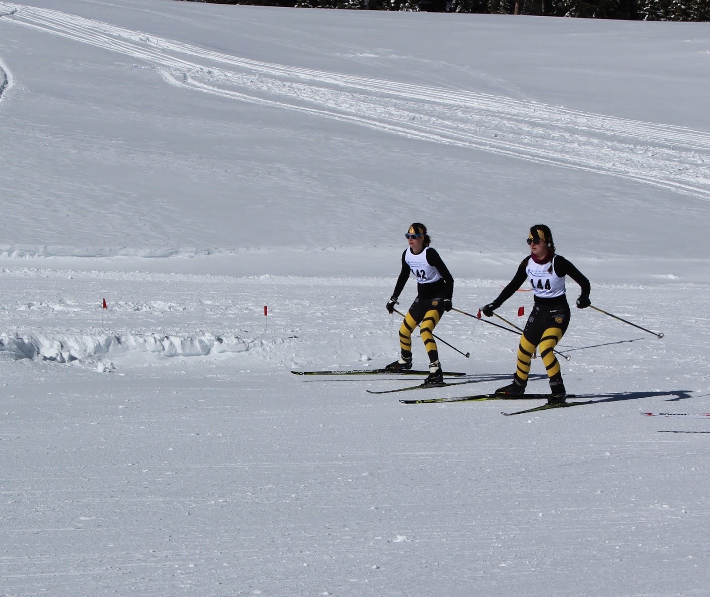 CC Nordic Skiers Hit Their Stride, Qualify for Nationals • Around the Block