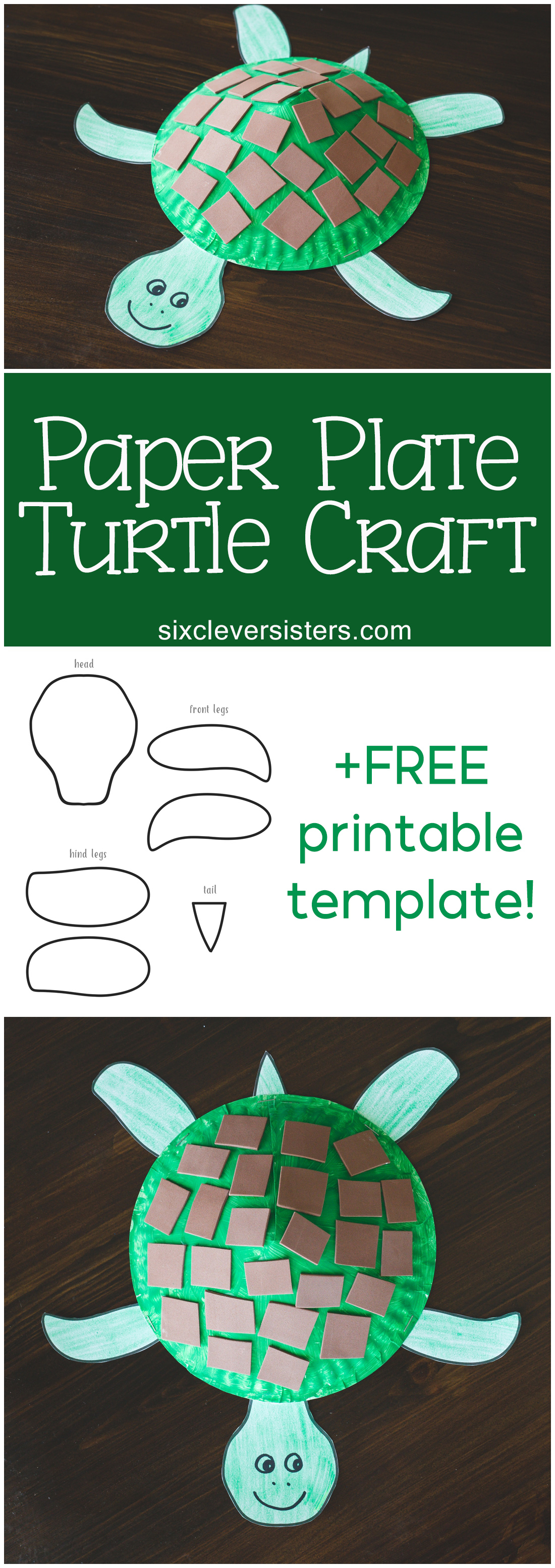 Turtle Mask Template