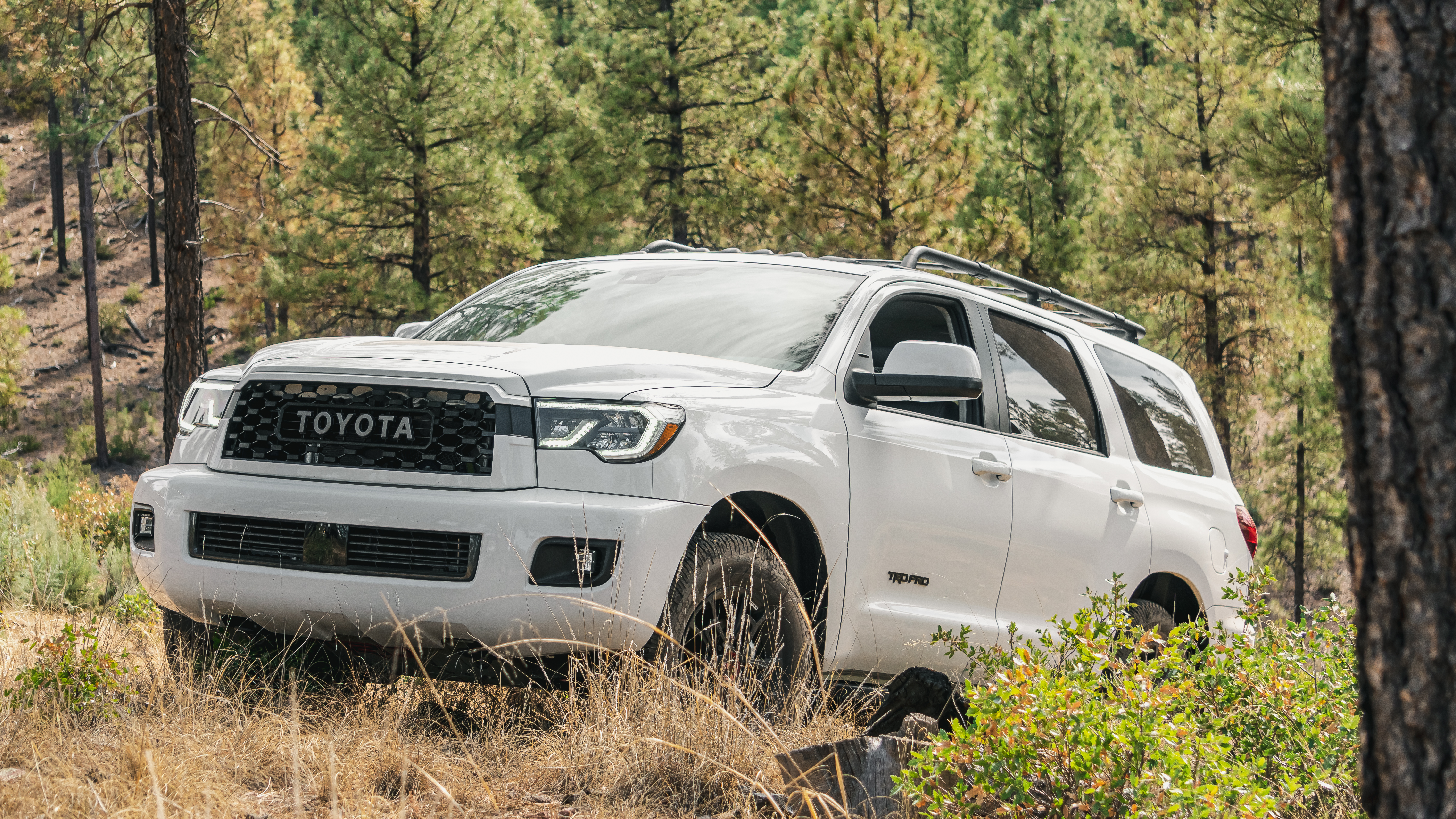 SIX SPEED BLOG: ANOTHER SPECIAL EDITION ADDS OFF-ROAD CHOPS: 2020