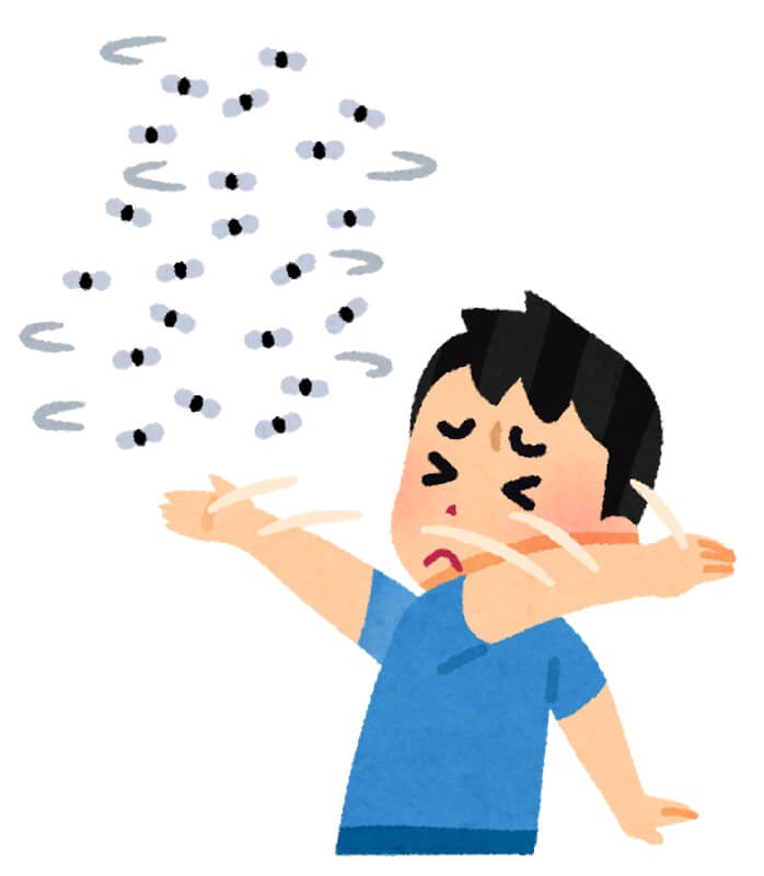 蚊柱 読み方