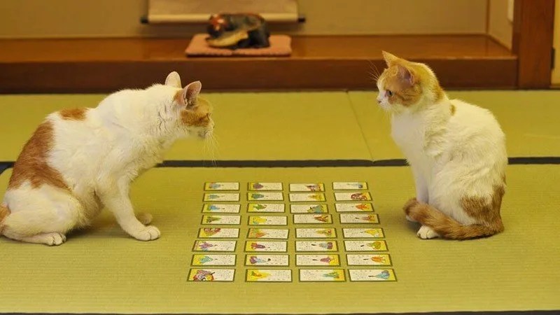 Karuta - 100편의 시 게임