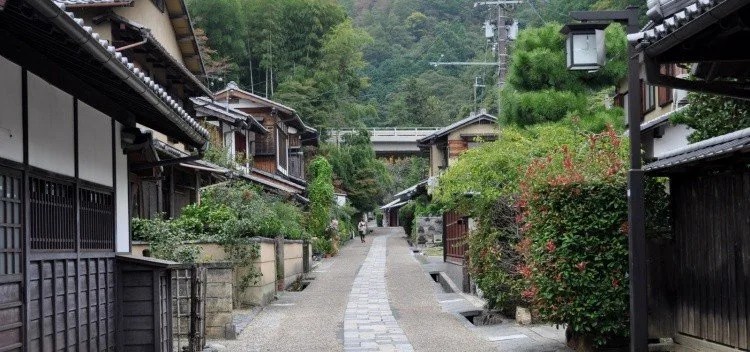 Arashiyama - Bamboo Forest and Monkey Mountain