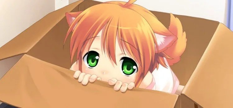 O básico do japonês que todo otaku deve saber