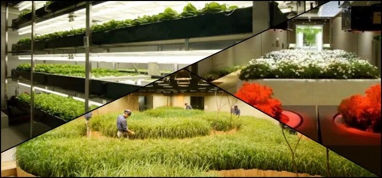 Uma fazenda dentro de um prédio? Conheça Pasona O2