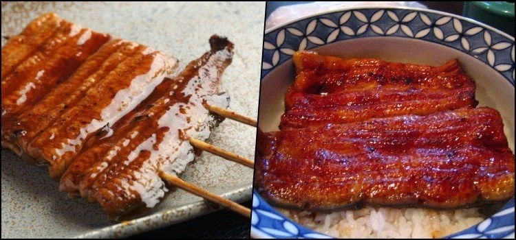 Os 10 Tipos de peixes mais consumidos no Japão