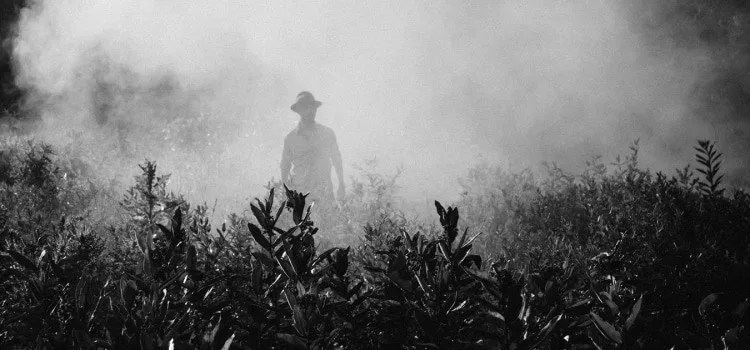 17 motivos para você nunca querer ir ao Japão 17 motivos para você nunca querer ir ao Japão