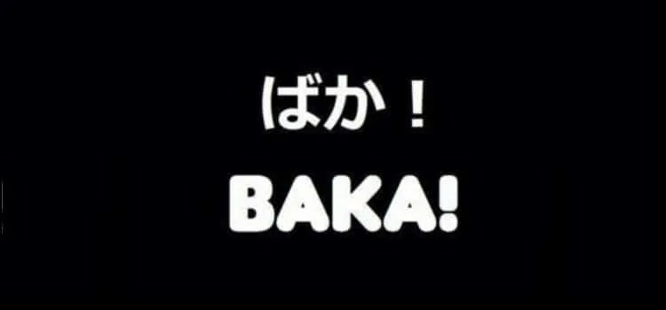 50 Swear Words and Insults in Japanese