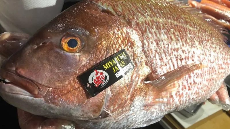 Os 10 Tipos de peixes mais consumidos no Japão