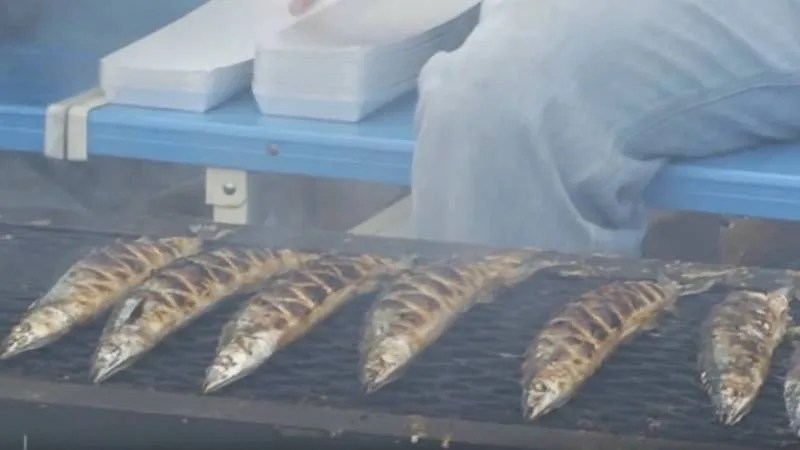 Os 10 Tipos de peixes mais consumidos no Japão