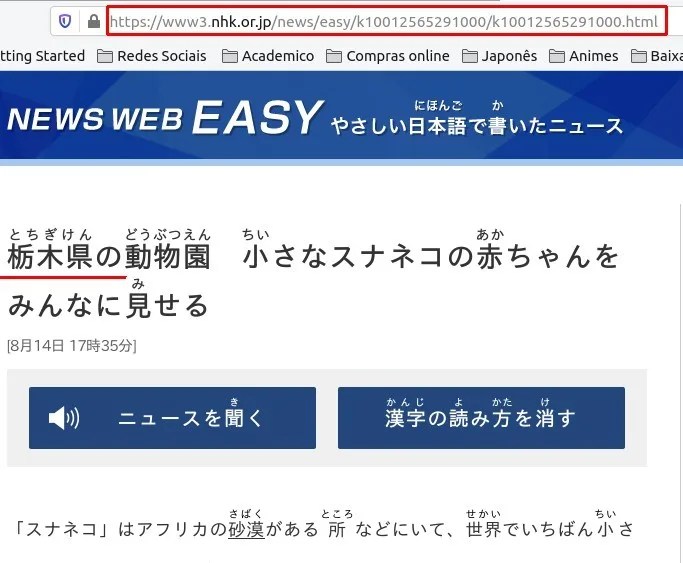 Usando o NWE para Estudar Japonês com ANKI