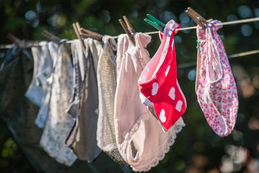 Why do Japanese people steal panties?