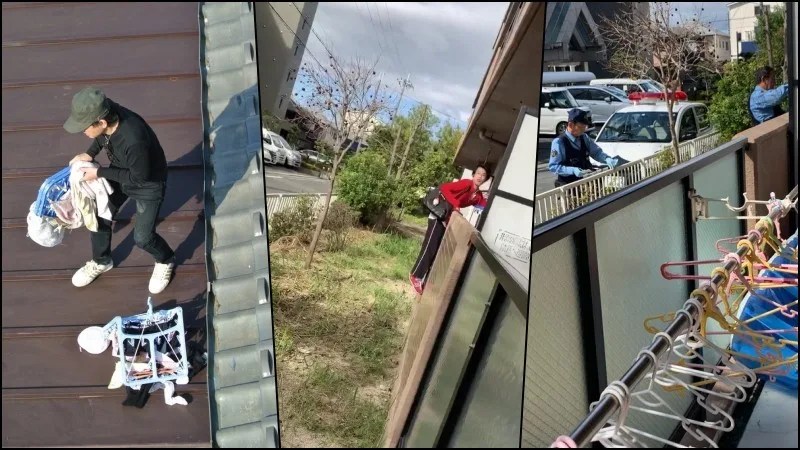 Why do Japanese people steal panties?