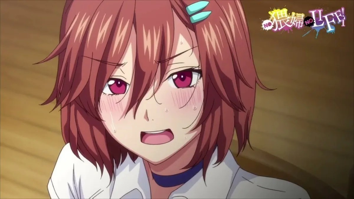 Informações e Curiosidades sobre No Waifu No Life