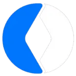 LOGO FOR AUDIT