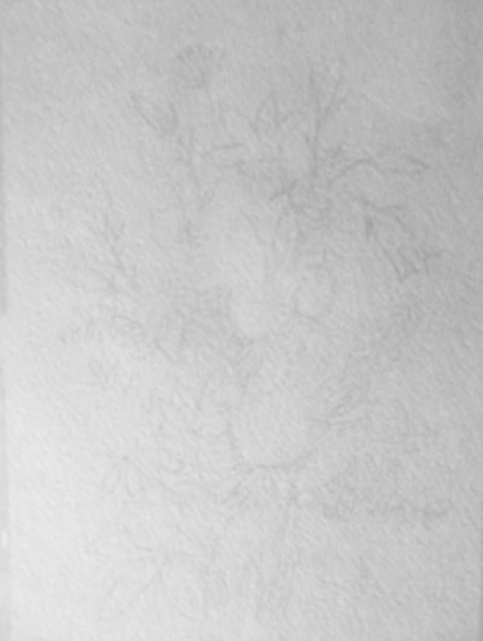 как нарисовать полевые цветы акварелью