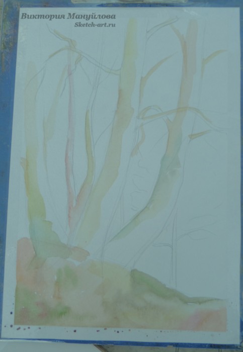 как рисовать березу акварелью