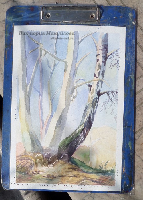 как рисовать березу акварелью