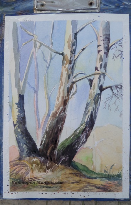как рисовать березу акварелью