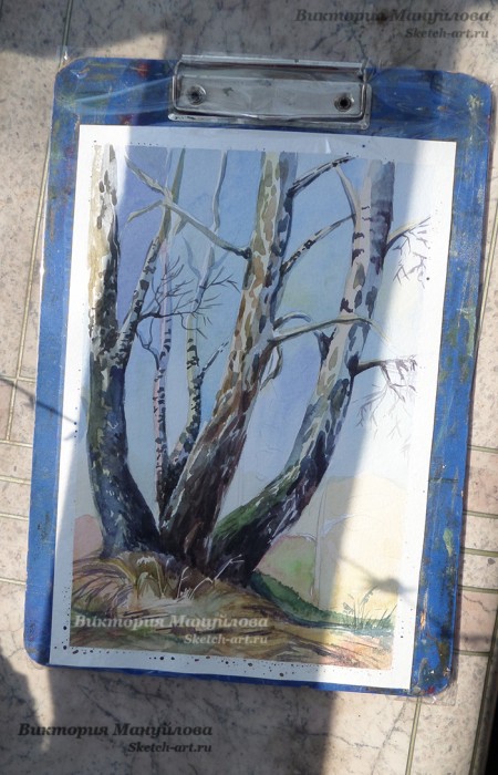 как рисовать березу акварелью