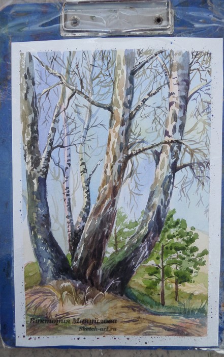 как рисовать березу акварелью