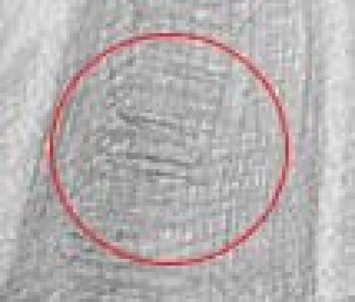 как нарисовать драпировку