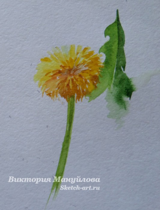 как рисовать одуванчик красками