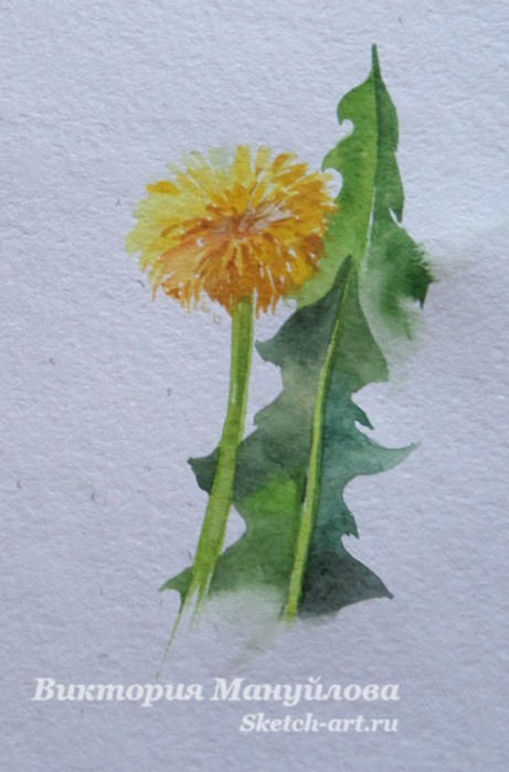как рисовать одуванчик красками