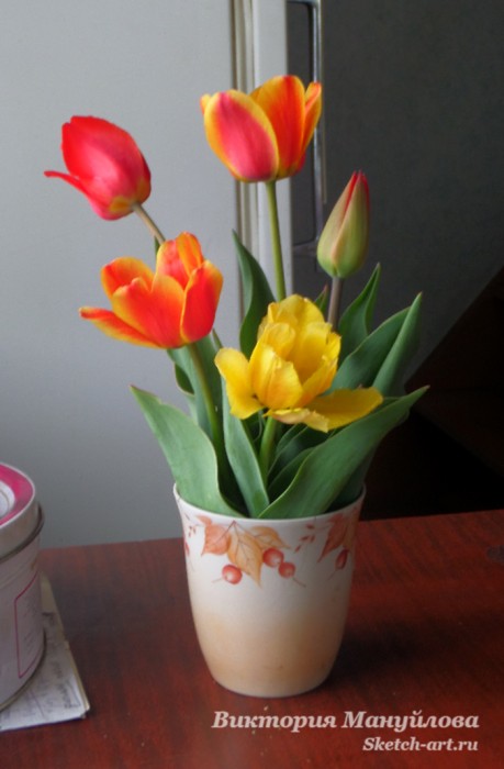 как нарисовать тюльпан акварелью
