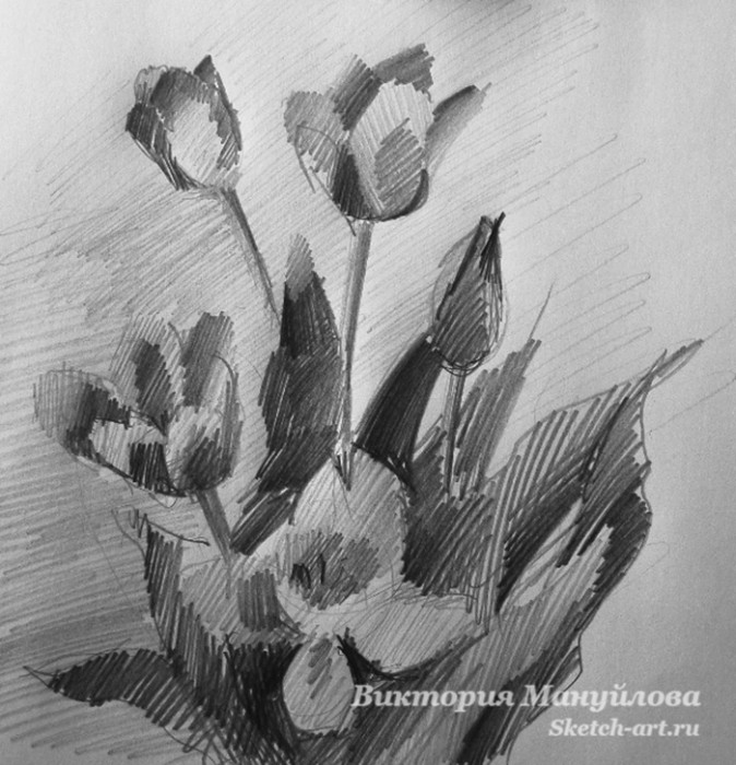 как нарисовать тюльпан акварелью