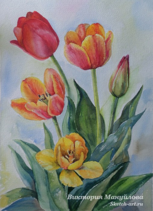 как нарисовать тюльпан акварелью