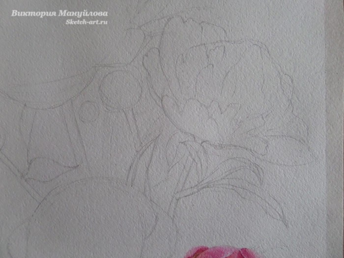 рисуем пионы в вазе