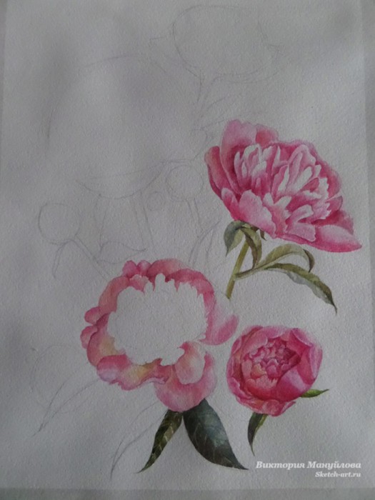 рисуем пионы акрилом поэтапно для начинающих