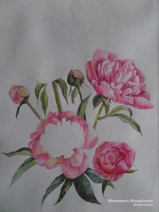 рисуем пионы акрилом поэтапно для начинающих