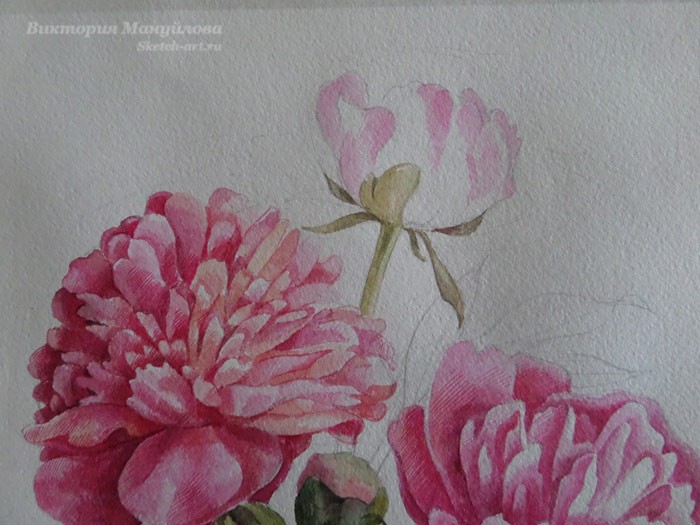 рисуем пионы в вазе