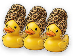 ברווזון מועדון Duck Loyalty – סקאצ׳י