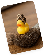 ברווזון מועדון Duck Loyalty – סקאצ׳י