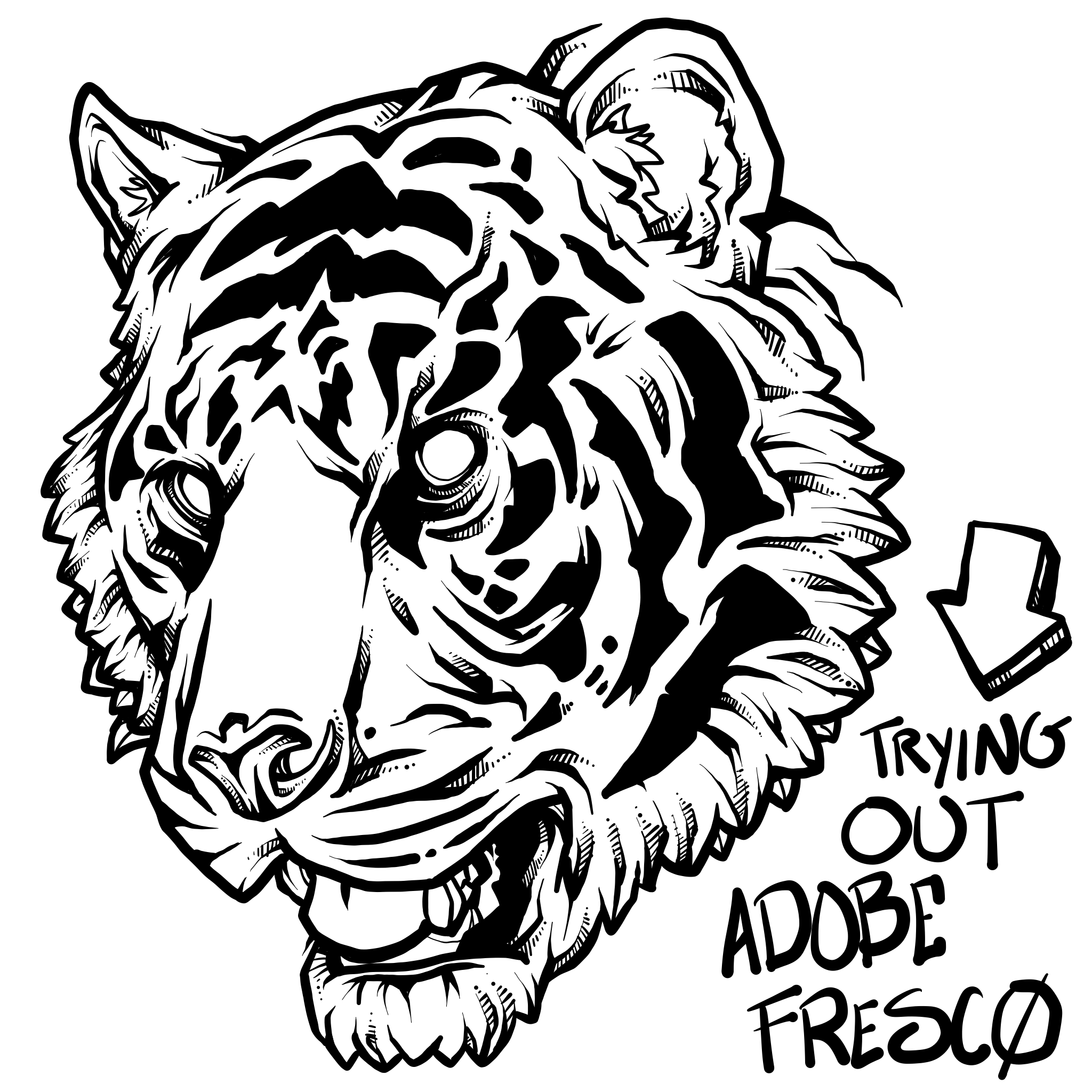 Trying out Adobe Fresco